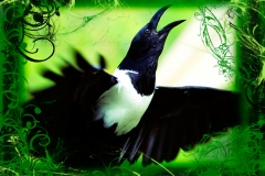 green bird