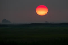 _L9F6334